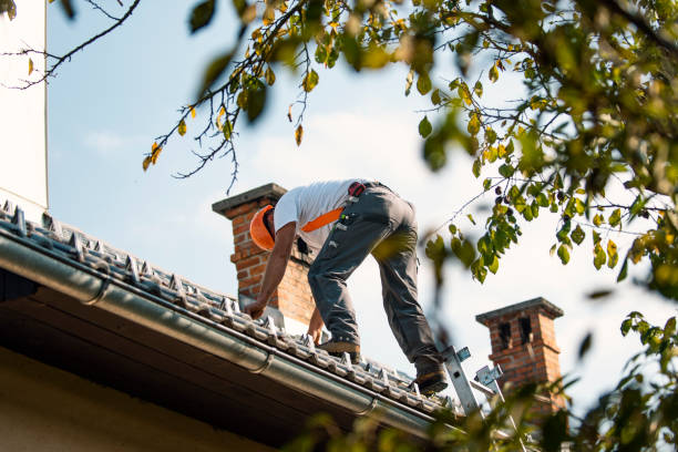 Roof Gutter Cleaning in Kiawah Island, SC